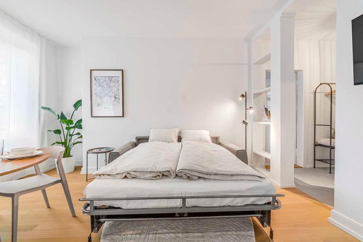 Apartment Bc 1 - Charming In Center - Close To Rhine And Old Town